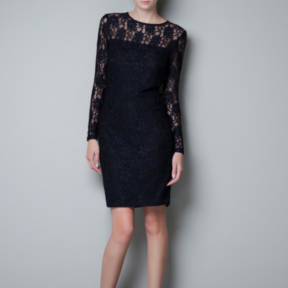 Zara Lace Sheath Dress